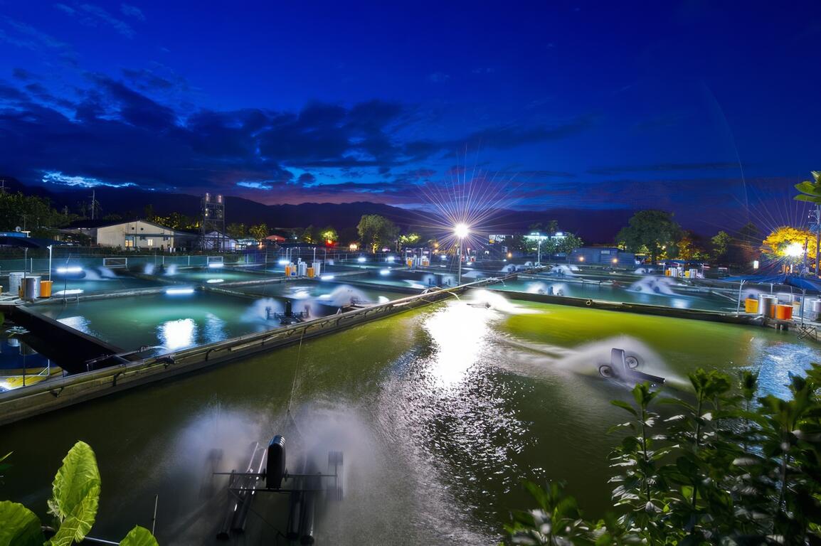 圖說：夜晚的養殖場景致