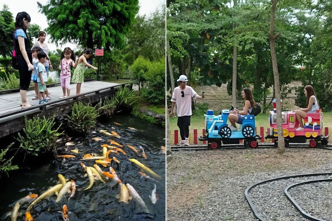 圖說：小朋友最愛餵魚和乘坐小火車