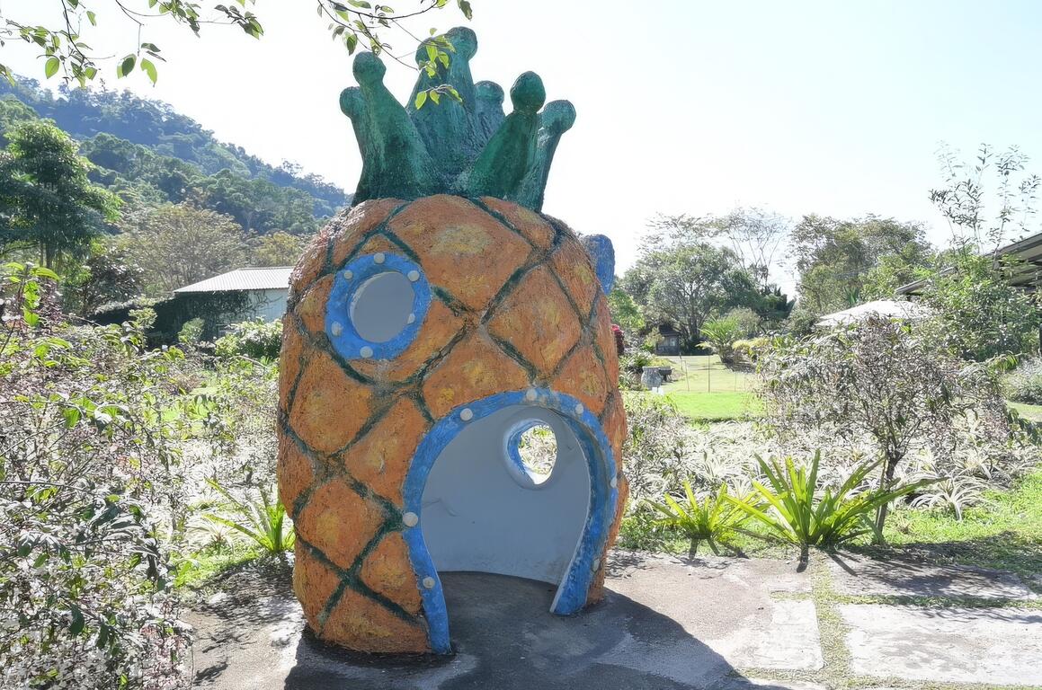 銘泉生態休閒農場人氣打卡景點：鳳梨的魔法屋