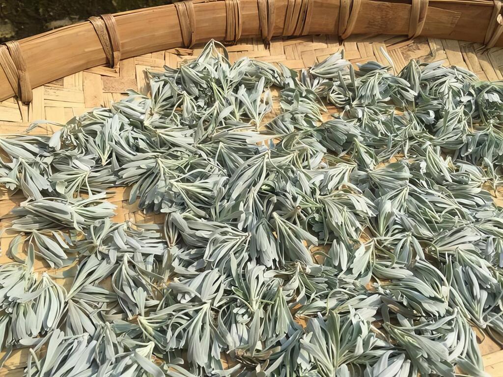 薰之園香草休閒農場