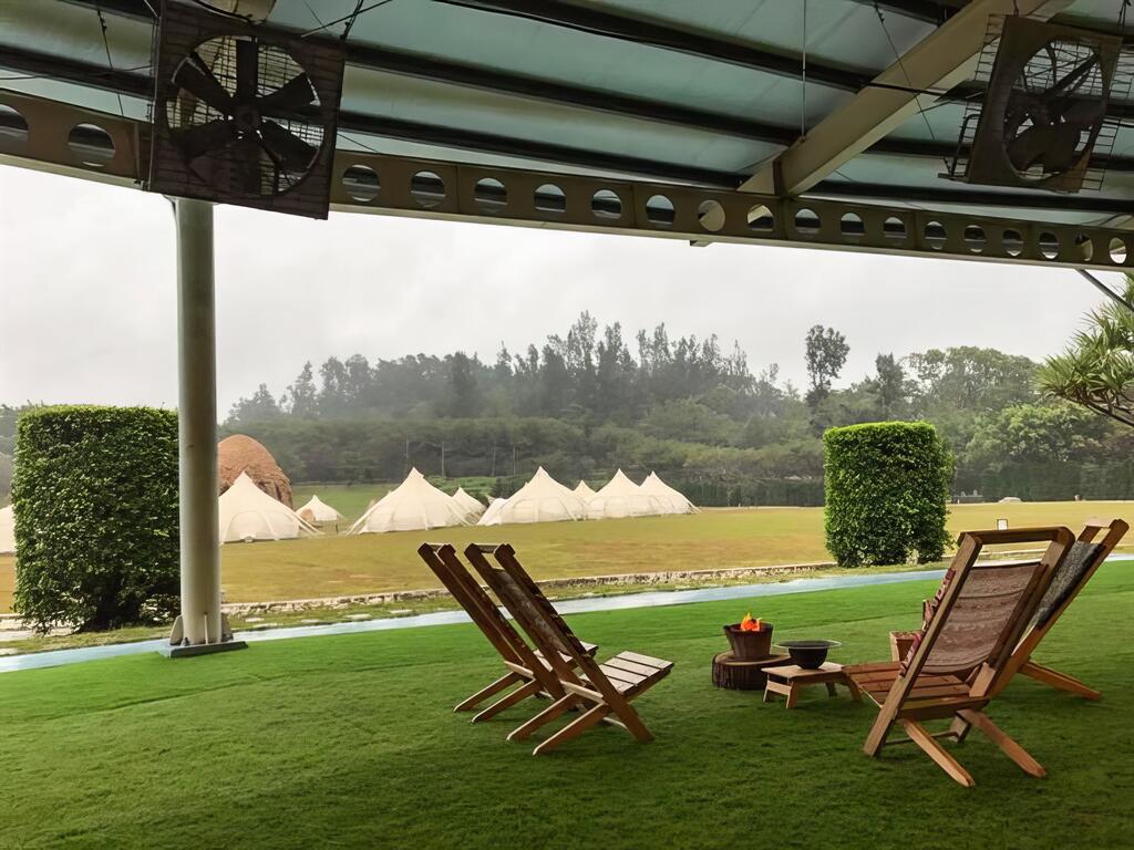 露營、採果鮮嘗