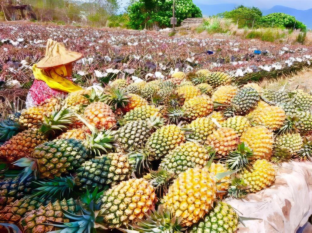 鴻旗有機休閒農場