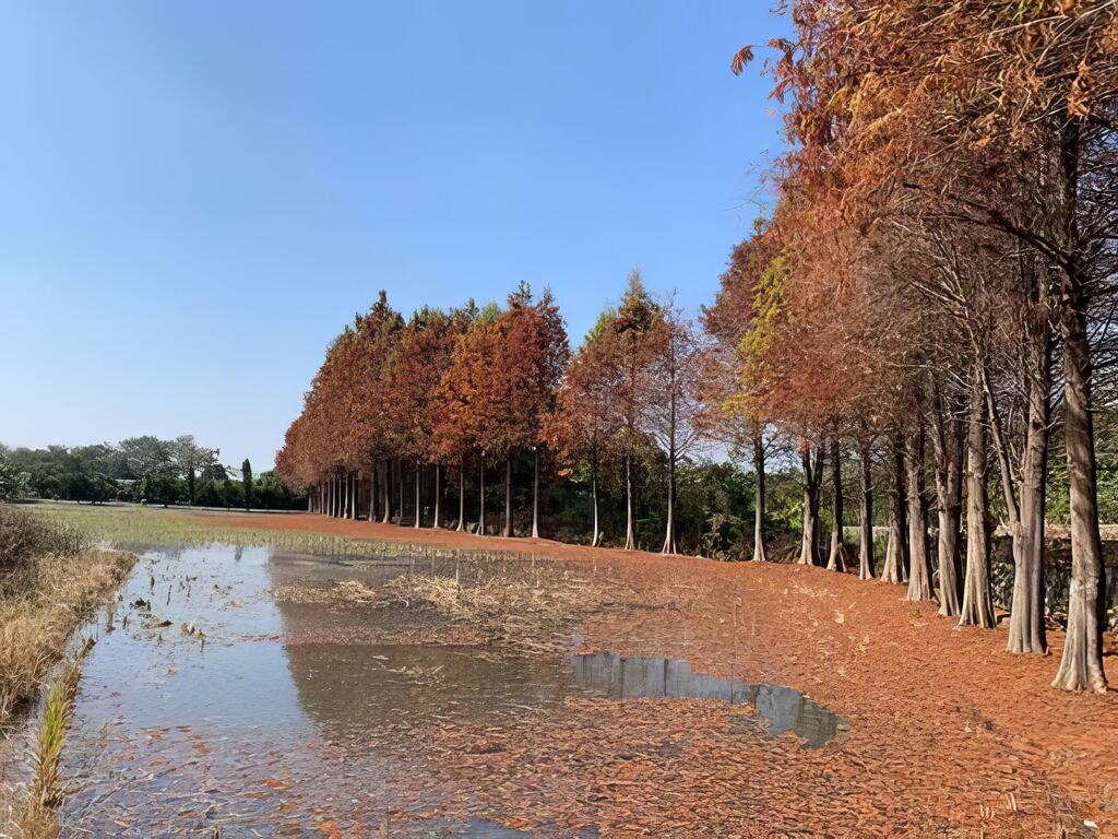 八堡圳公園在二水水門（110.2.1拍攝）(休區工作人員攝)