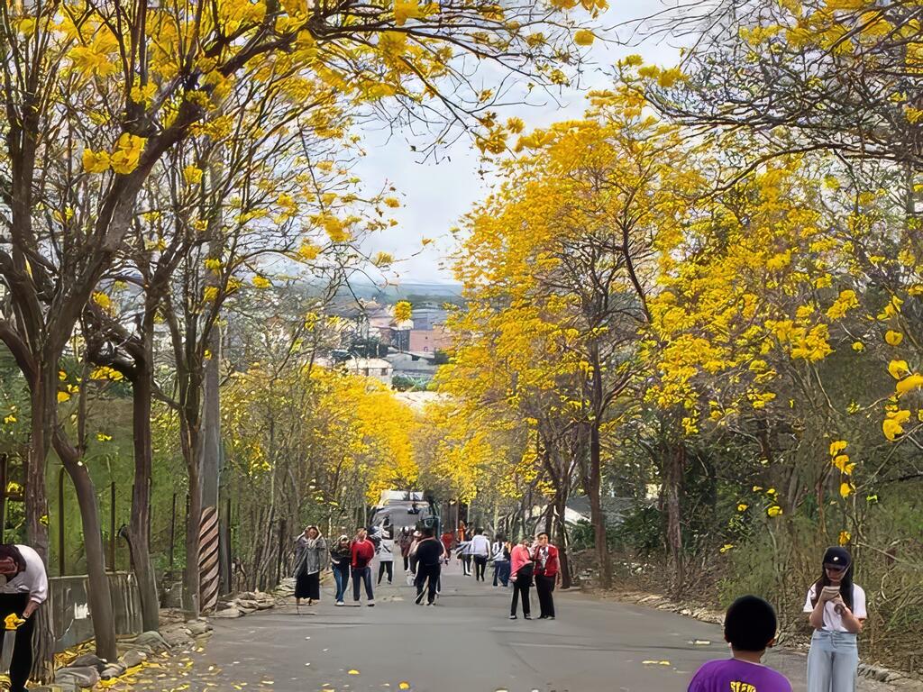 坑內坑生態步道（休區范秘書110.3.6拍攝）
