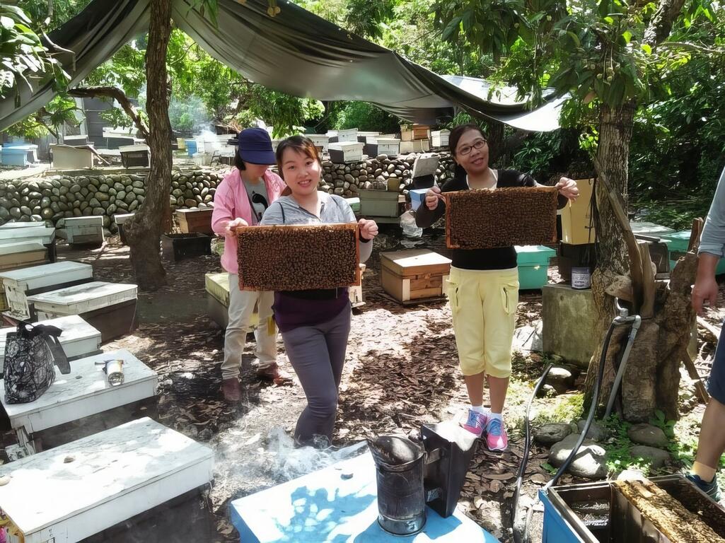 近距離認識蜜蜂