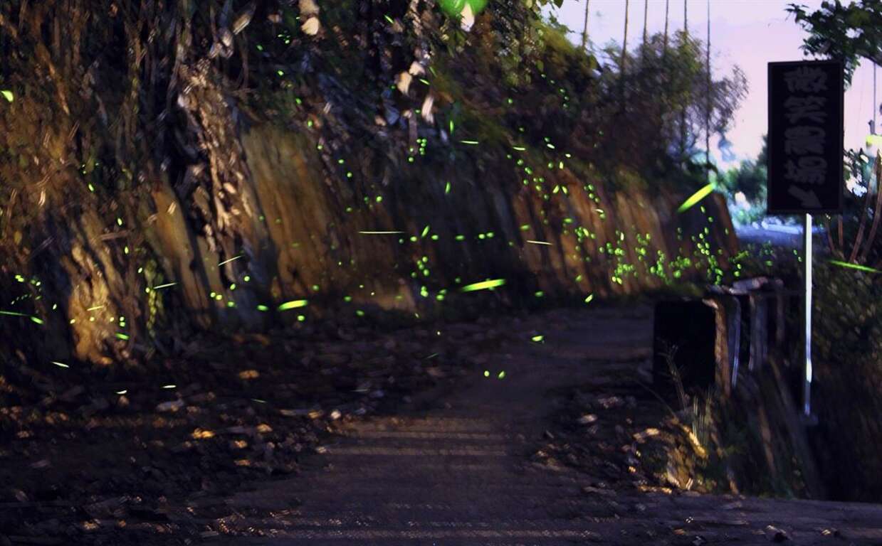 2yqmb3wm2pqzq3zbe63ta9hyedytu0ry