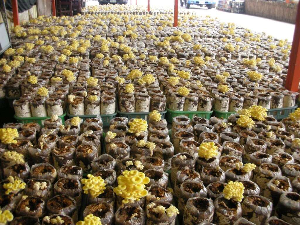 55s90m3tdc6e0mgz9ykuzpy6vppgmb2i