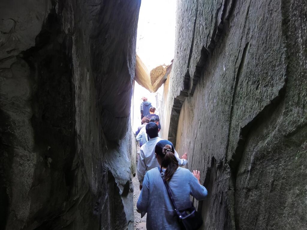 坪瀨溪畔的生態與奇景