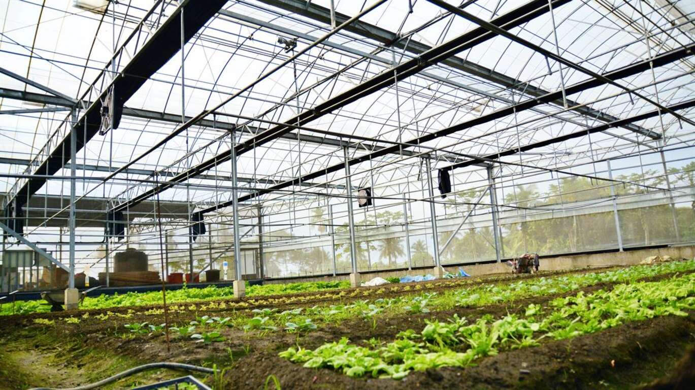 設備齊全電控溫室