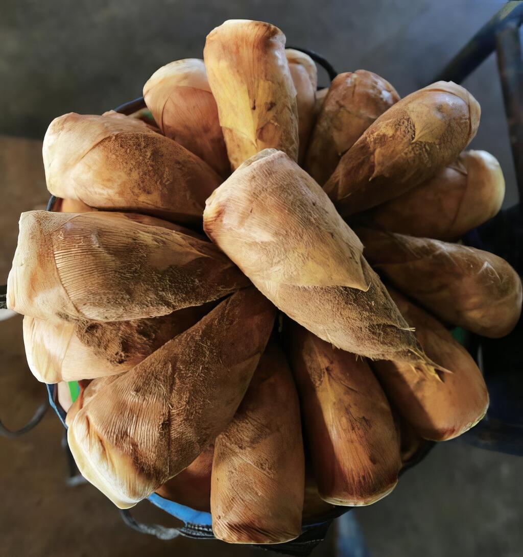 【孟宗竹筍的香甜脆滋味】