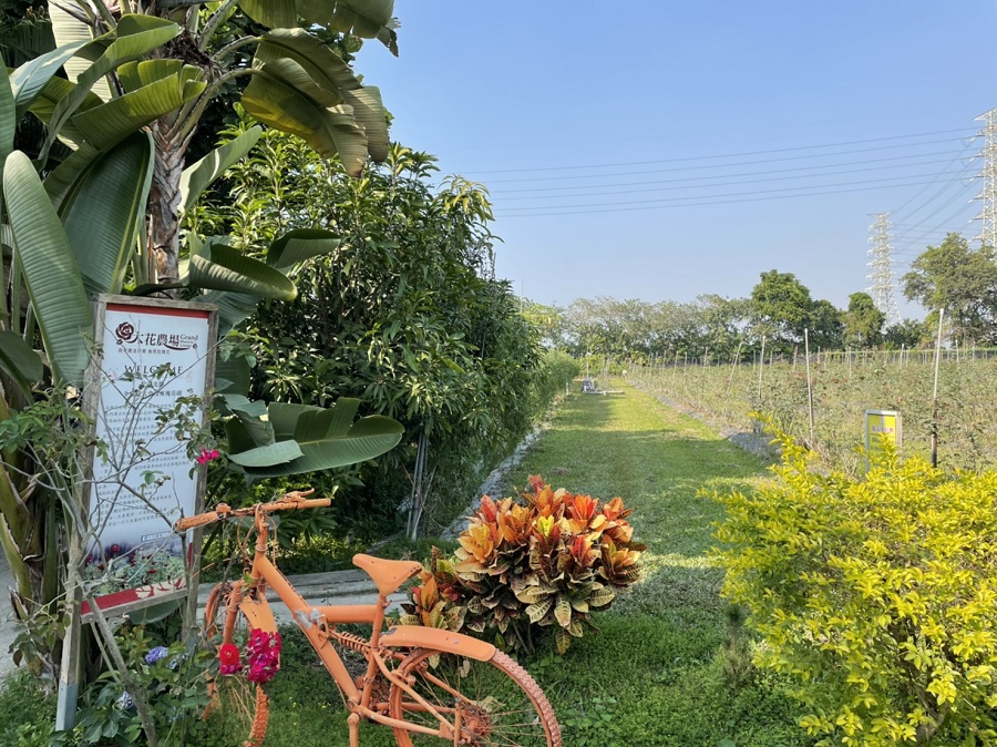 經過一大片的荒地，進入大花玫瑰休閒農場入口。