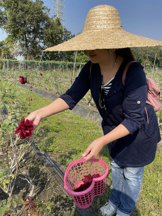 戴上斗笠和提籃採花去。