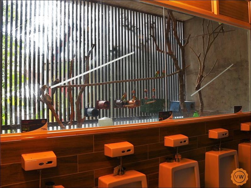 看鳥室內看的，其實是鸚鵡啦！