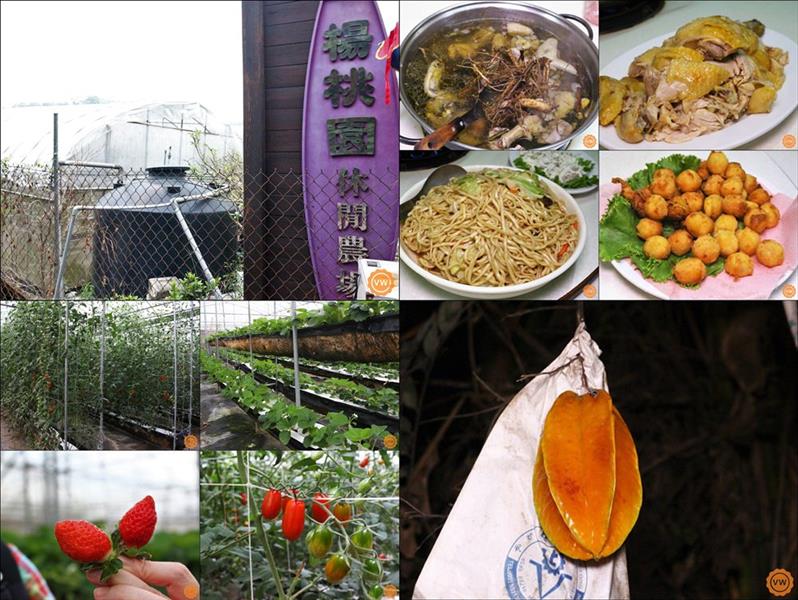 楊桃園休閒農場