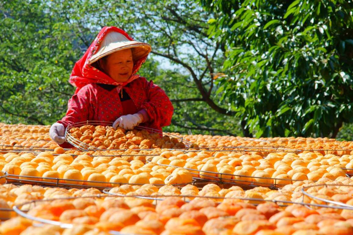 快來瞧瞧味衛佳柿餅婆婆的可愛臉龐！ （照片來源：大墩山休閒農業區提供）