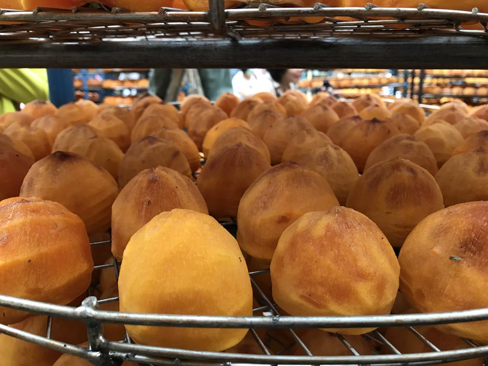 每逢柿子產季，曬柿成了當地特色獨特景觀，時常吸引遊客到此賞景！ （照片來源：大墩山休閒農業區提供）