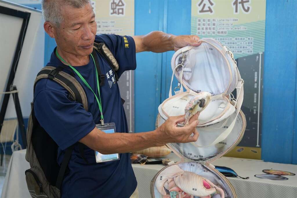 陳明瞭大哥講解文蛤構造。