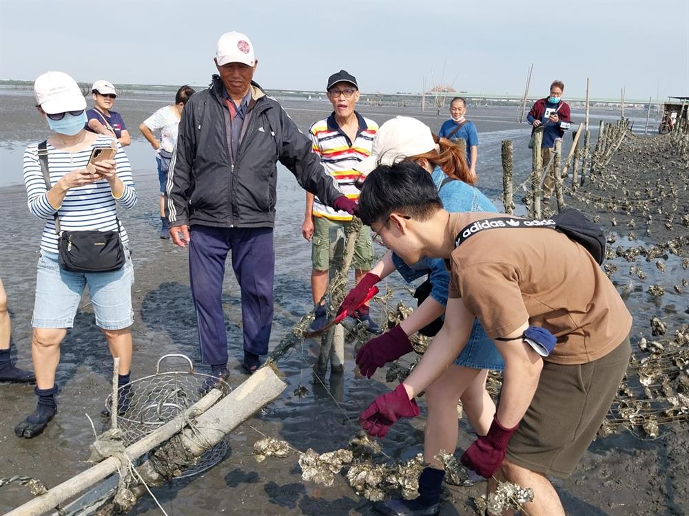 親身體驗感受蚵農辛勤養蚵的日常。