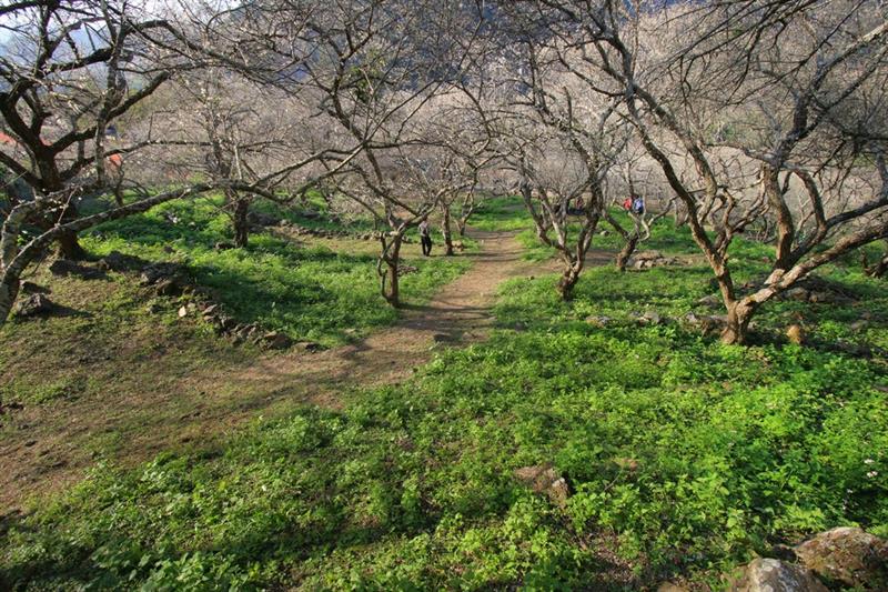 上方的視野也是不少遊客喜歡前來取景的地方。