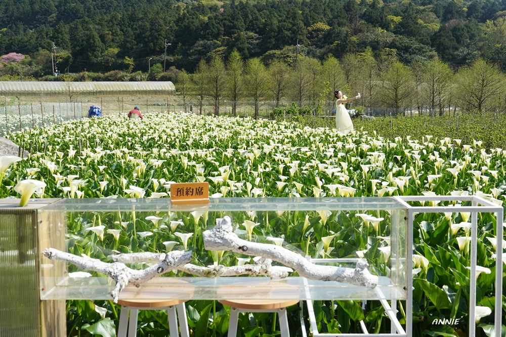 園區設有室外的用餐區。