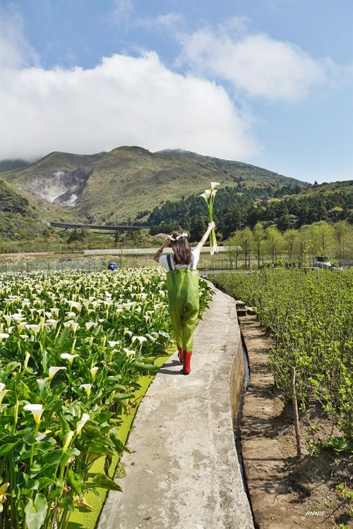 青蛙裝太可愛啦,完全捨不得脫掉。