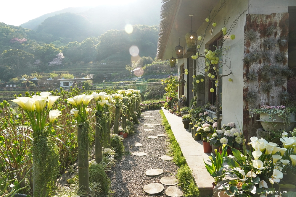 園區內還有一座乾燥花小屋，外面的廊道擺放海芋增添浪漫氛圍。