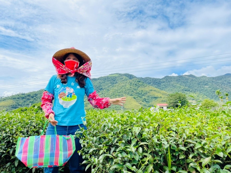 茶園加上山谷美景，可以說是縱谷的一大特色。