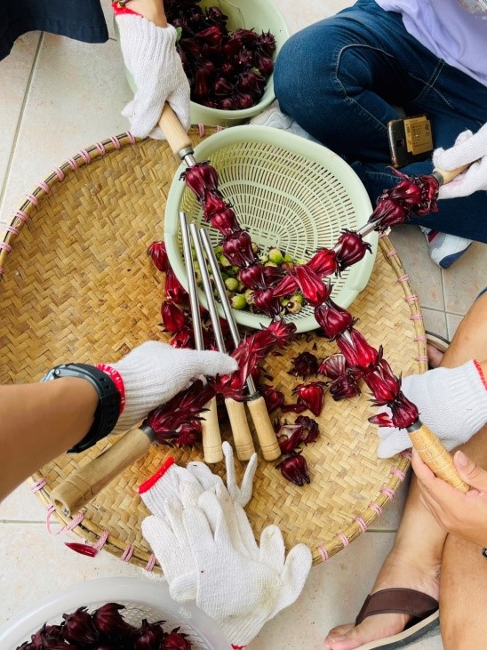 去籽一開始會手忙腳亂，一直不小心弄壞洛神花，但最後開始順手，越去越順，變成去籽達人。