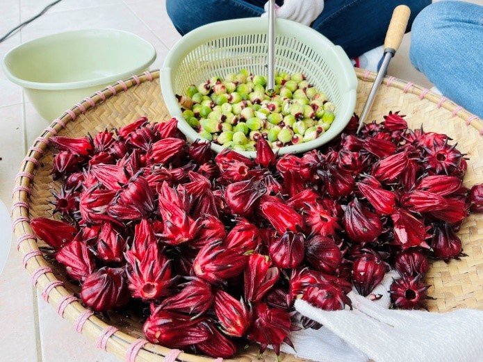 接下來將處理好的洛神花折成小段，進行清洗、瀝乾，就可以開始做洛神花果醬。