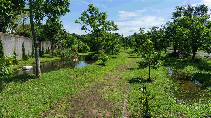 生態園區綠意盎然、生態豐富。