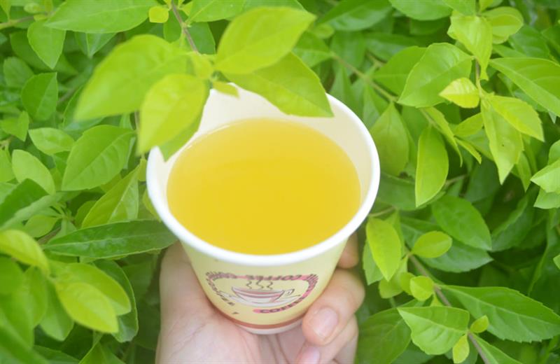 劍門生態花果休閒農場金桔醬泡茶非常好喝，帶微酸甜的口感。