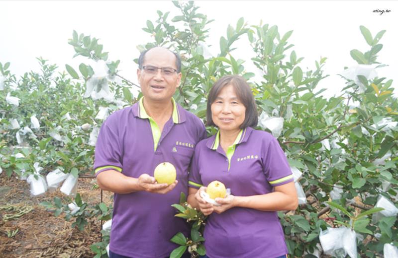 菁芩休閒農場位於溪州，老闆夫妻種植不同種類的芭樂，以及少數其他農產自產自銷。