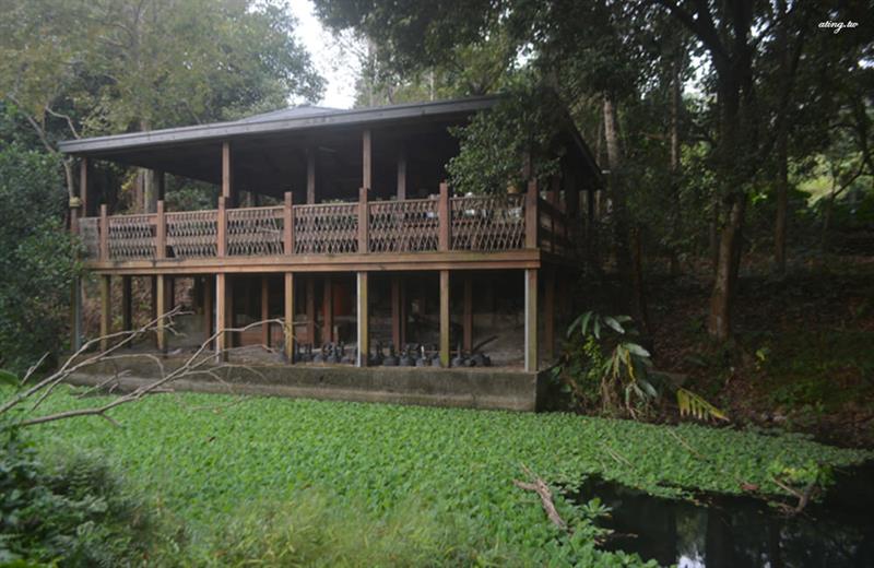 這裡有老鷹、貓頭鷹，是食物鏈生態完整的地方，水果可以撿來吃。