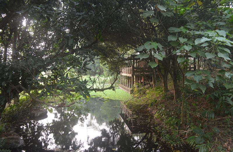 水中有綠色植物水浮蓮，園區中每棵樹都有自己的故事。