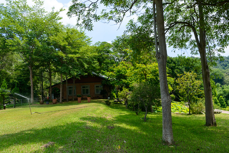 大草皮可以舉辦許多活動。