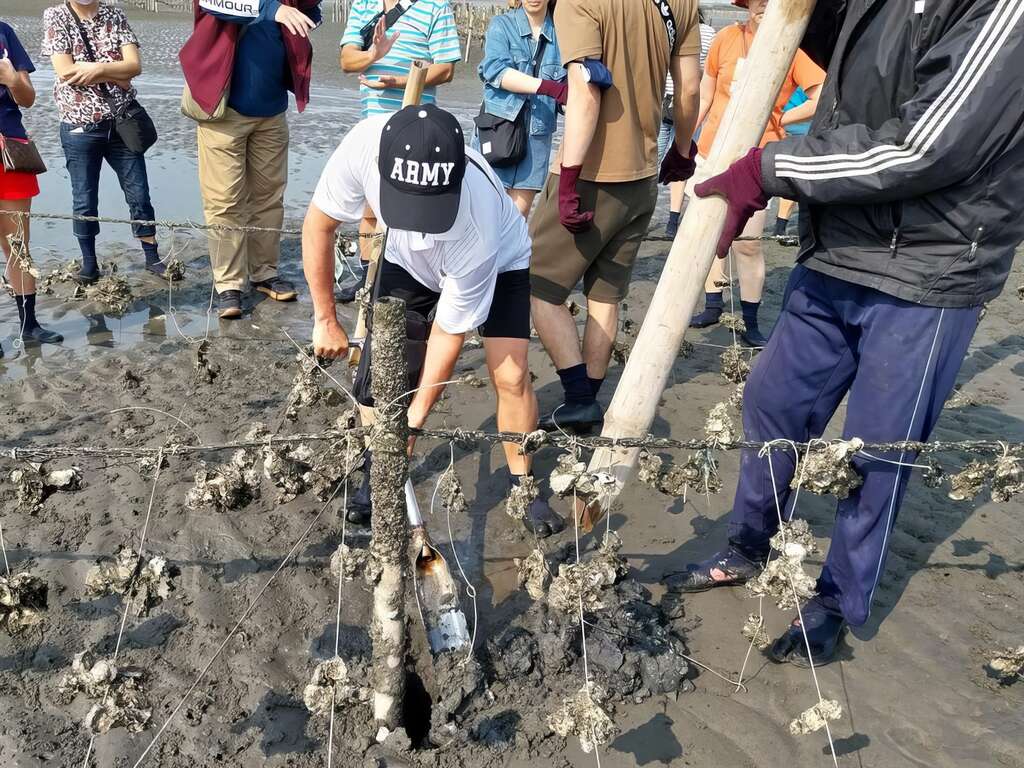 深入蚵田，體驗「五蚵哲學:割蚵、剝蚵、洗蚵、烤蚵、綁蚵」。