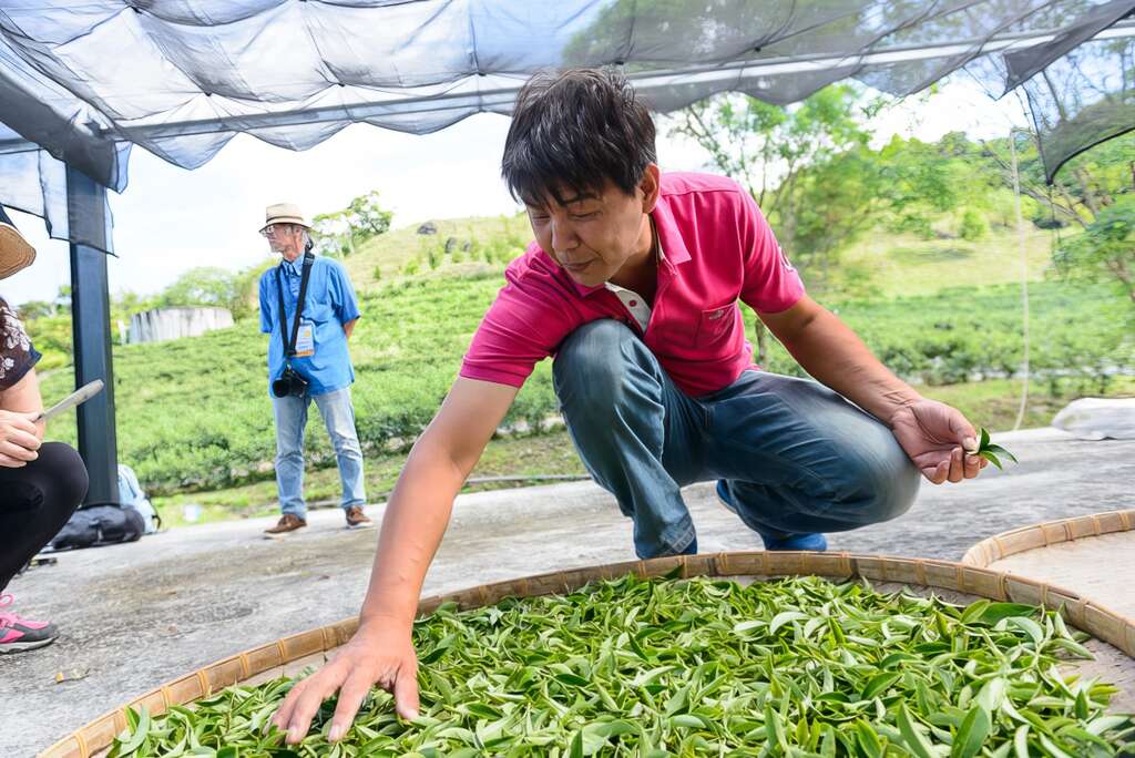 王大哥說我們採太少了，直說我們太客氣。