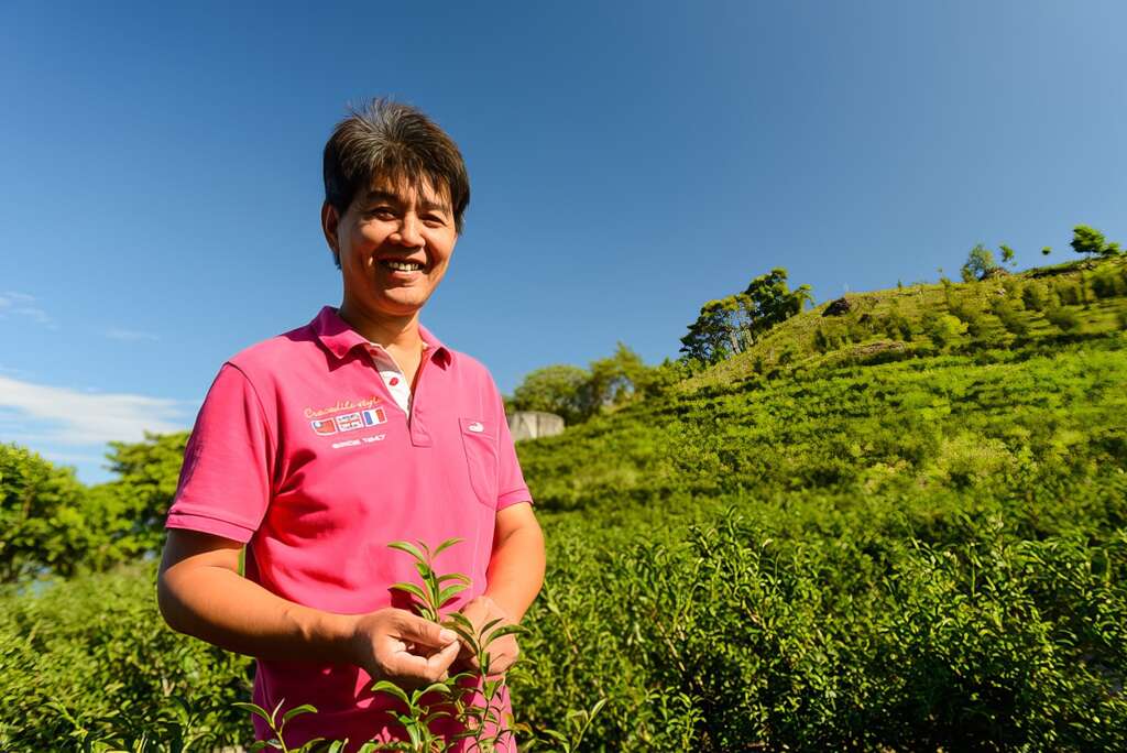 茶園共2.2公頃左右，皆獲得有機認證。