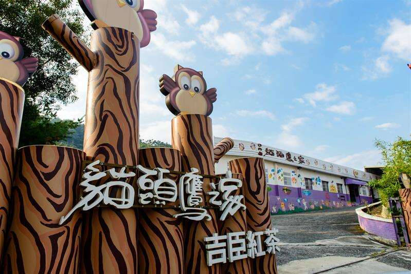 日月潭貓頭鷹之家在入口處有可愛的貓頭鷹迎接著客人。