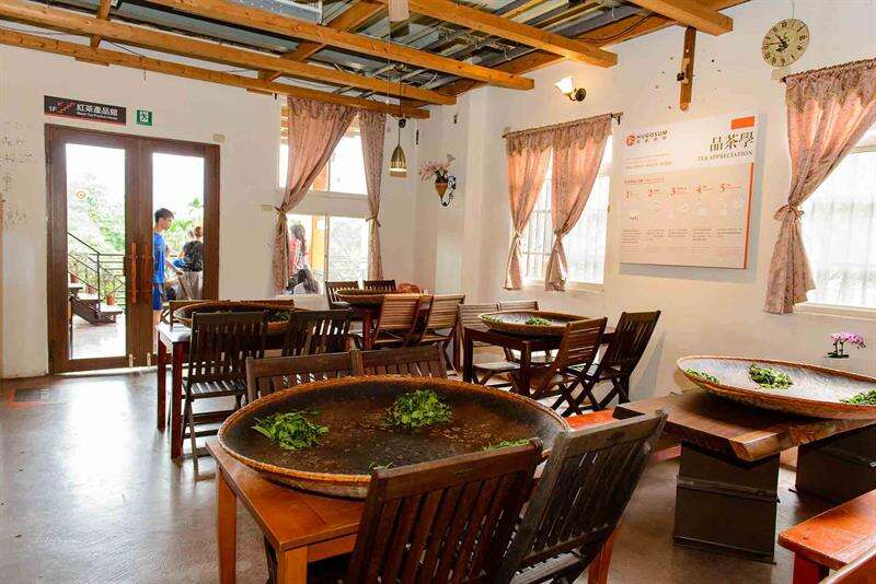 第一種DIY揉茶活動的體驗區。