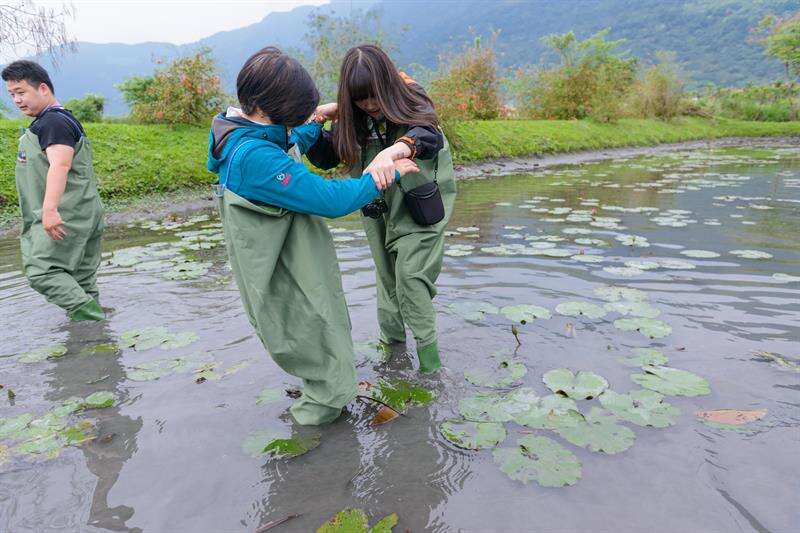穿著青蛙裝踩在軟泥中，舉步維艱但也妙趣橫生。