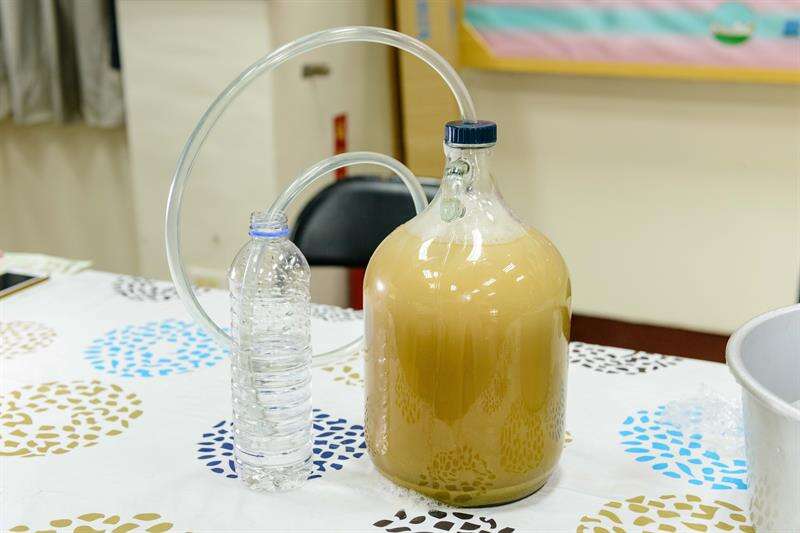 啤酒還需要35天的時間進行發酵，這段期間會由農場負責照顧大家的啤酒。