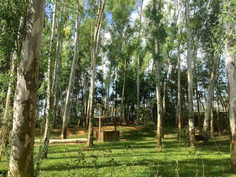 森18休閒農場有全台面積最大的尤加利森林，可大口呼吸在都市裡難以享受的芬多精。