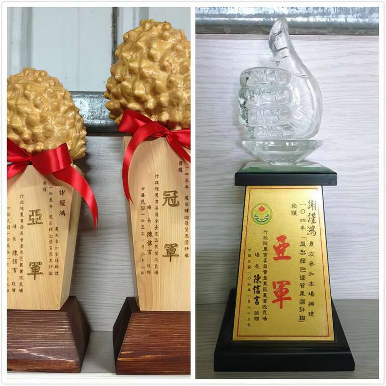 104年鳳梨釋迦優質果園評鑑評鑑亞軍，105年鳳梨釋迦優質果園評鑑評鑑亞軍。