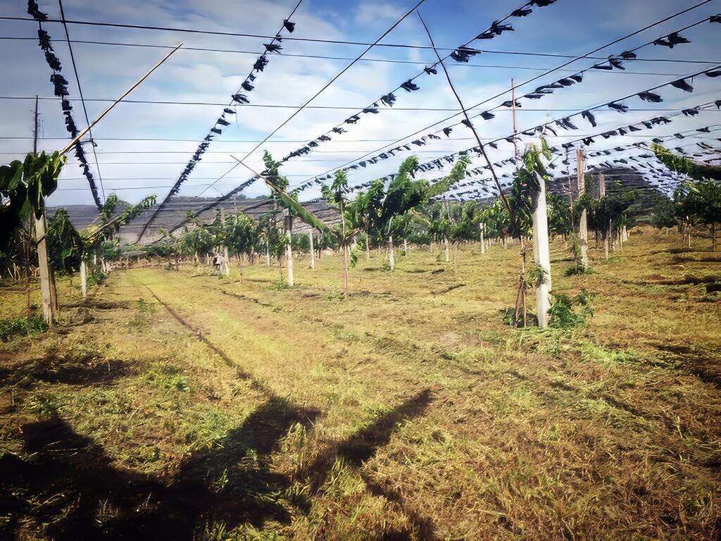 期望能長遠與土地友善共存