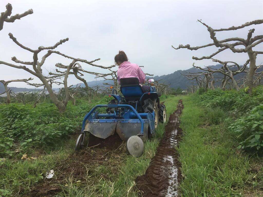 農場以無農藥殘留為目標