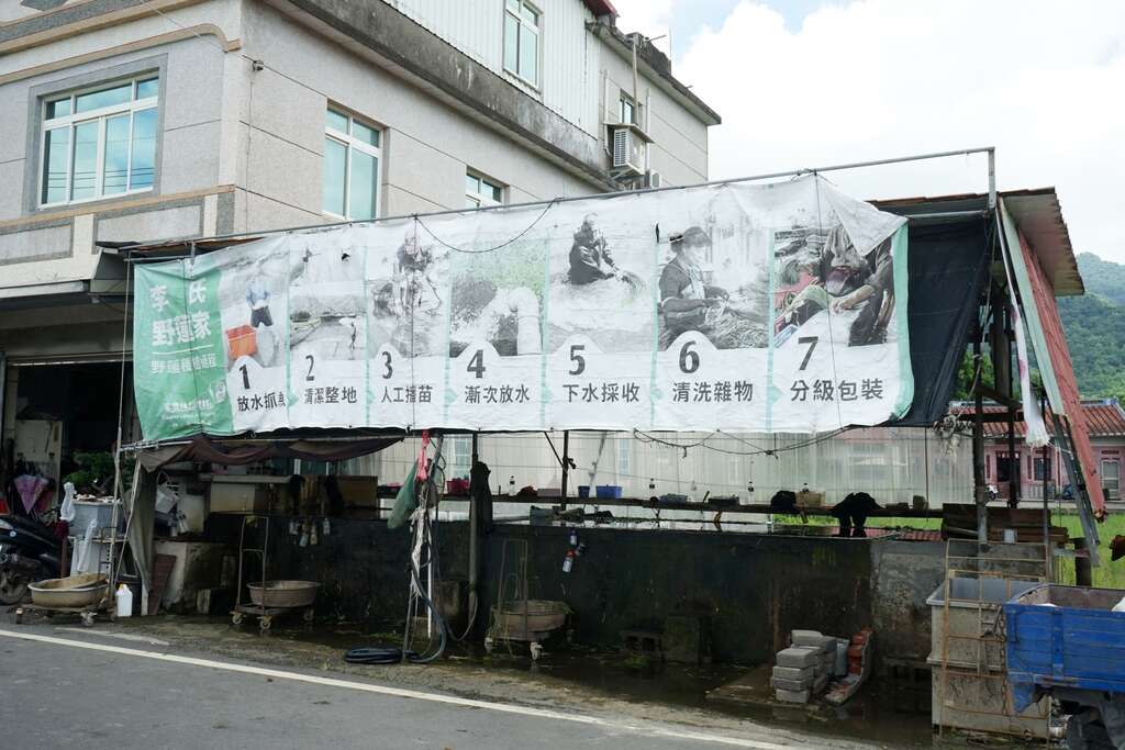 李氏野蓮家為野蓮的示範農場之一