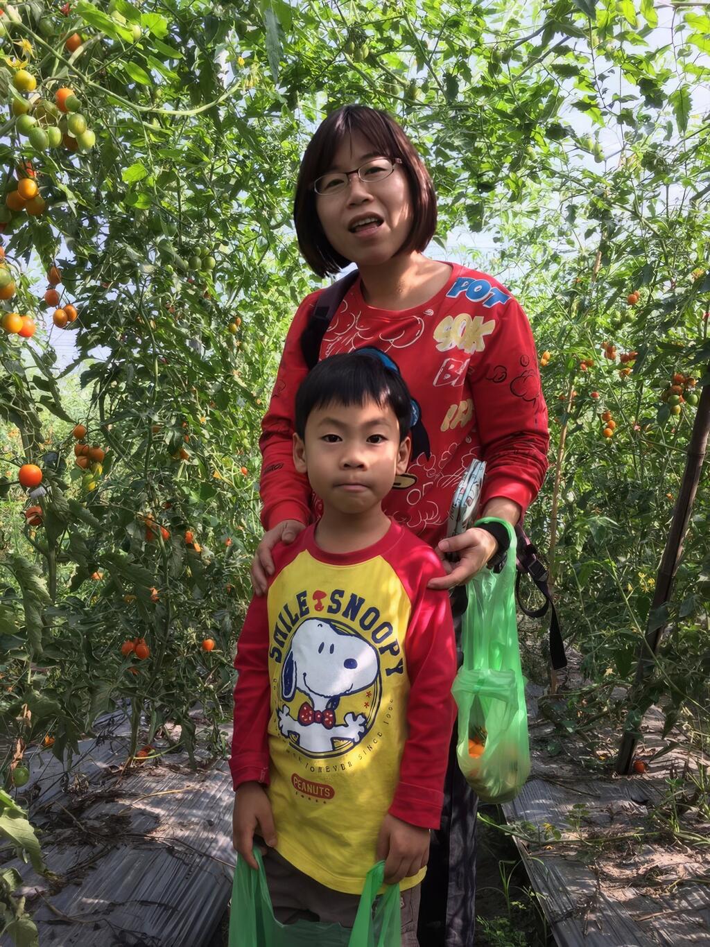 小飛霞果園-採果體驗