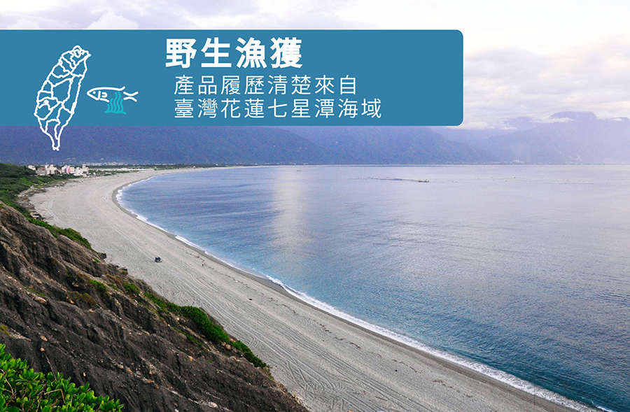 6yff4ap8g9gtx6y5ifyhrsttvrd1a6mj