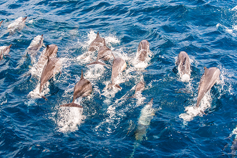 bb1qim3eeccvu5emqebakkqtck9dnkr6